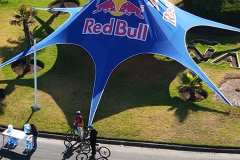 foto-reforestrunning-35